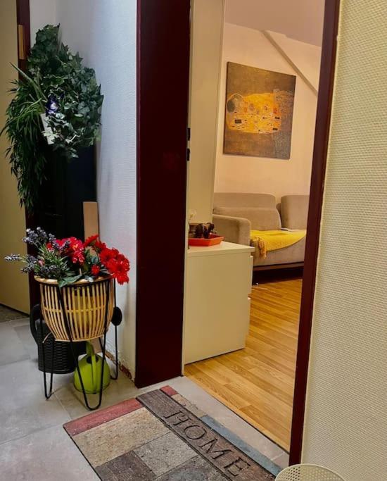 Apartment Near Central Station Zurich Extérieur photo